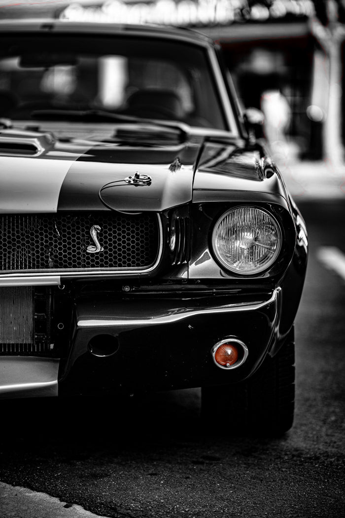 Muscle