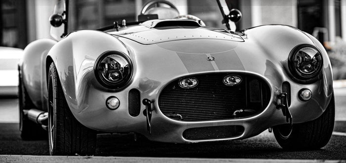 Muscle