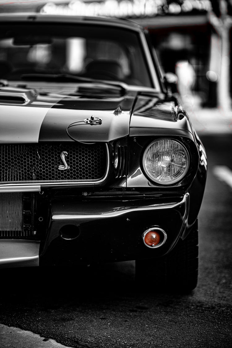 Muscle